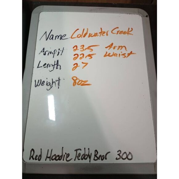 Coldwater Creek Shirt Ladies Extra Large Blue Aztec 3/4 Sleeve 100% Linen Button - Picture 7 of 7